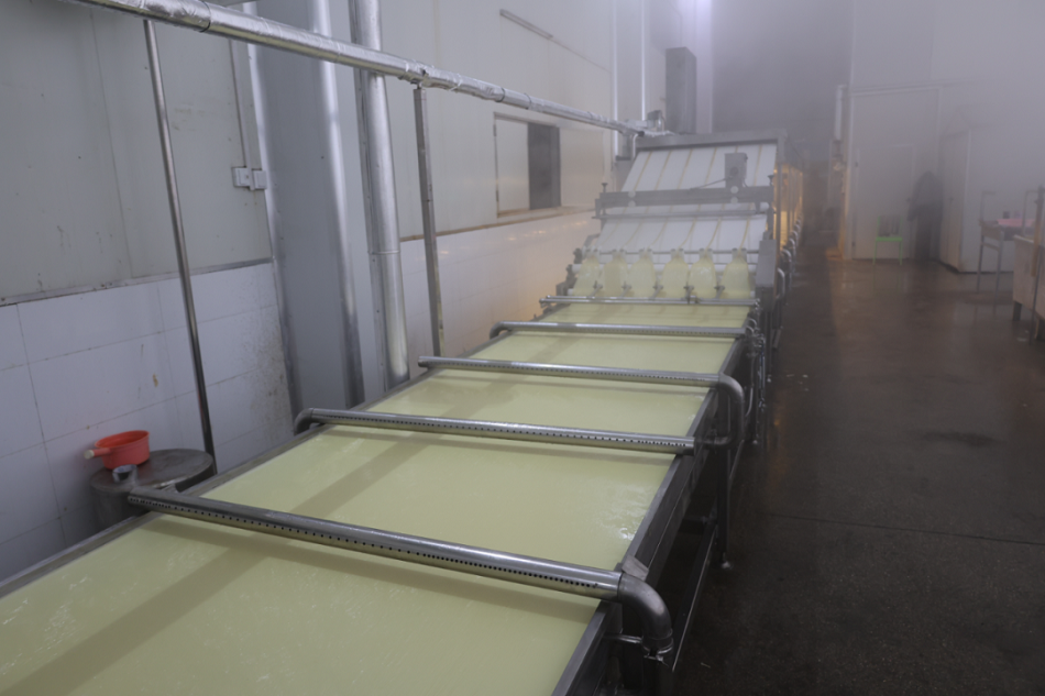 腐竹機生產線